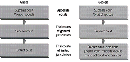 According to the figure,why is Georgia considered to have an  unreformed  court structure?​ ​   A)  ​It has neither reduced the number of courts nor standardized their names. B)  ​It has fewer trial courts of limited jurisdiction than does Alaska. C)  ​It uses a nonstandard name for the appellate courts. D)  ​It uses a nonstandard name for the trial courts of general jurisdiction.