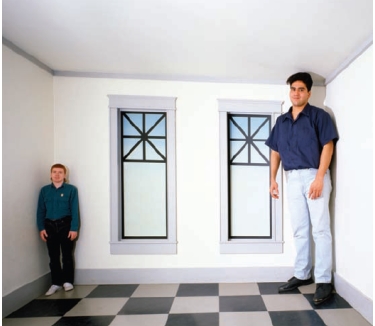 An image of the Ames room illusion is shown below.Explain why the illusion leads us to perceive one individual to be larger than the other individual.   