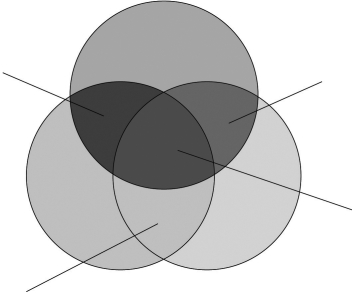 On the following diagram,label the type of relationship that results from the combination of each of Sternberg's components. companionate love consummate love fatuous love romantic love   