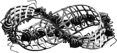 <strong>Feminist philosopher Elizabeth Grosz proposed that we view the relationship between sex (the natural)and gender (the social)as existing on a Möbius strip because: </strong> A) sex comes before gender and dictates behavior. B) you can separate sex and gender into two distinct entities. C) sex and gender are two sides of the same coin and are thus inseparable. D) it is easier to siphon out the effects of each in this way.