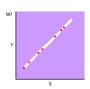 The graph shown depicts a __________ correlation.   A)  zero B)  perfect positive C)  perfect negative D)  causal