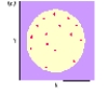 The scatter diagram below depicts which type of relationship?   A)  zero correlation. B)  positive relationship. C)  variable relationship. D)  negative relationship.
