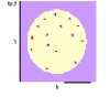Which of the following correlations is depicted below?   A)  +1.00 B)  -1.00 C)  0.00 D)  +.50
