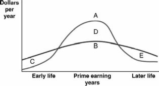 Refer to the following graph that describes income and consumption patterns over a typical life cycle to answer the next questions:    -Which part of the accompanying graph depicts borrowing? A)  curve A B)  curve B C)  region C D)  region D E)  region E