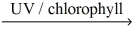 The reaction for photosynthesis producing glucose sugar and oxygen gas is: __CO₂(g) + __H₂O(l)    __C₆H₁₂O₆(s) + __O₂(g)  What is the volume of oxygen gas at STP produced from 2.20 g of CO₂? A) 0.187 L B) 1.12 L C) 1.60 L D) 4.32 L E) 6.72 L