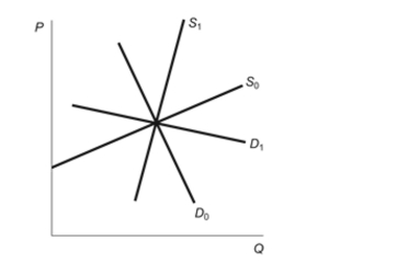 (Figure: Elasticities of Supply and Demand)  Which combination of demand and supply curves results in the greatest tax burden to buyers? Figure: Elasticities of Supply and Demand   A)  D0 and S0 B)  D1 and S1 C)  D0 and S1 D)  D1 and S0