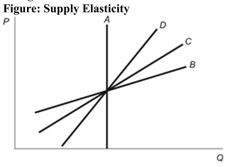 (Figure: Supply Elasticity)  Refer to the figure. Which one of the four supply curves has the greatest responsiveness to price changes?   A)  Supply Curve A B)  Supply Curve B C)  Supply Curve C D)  Supply Curve D