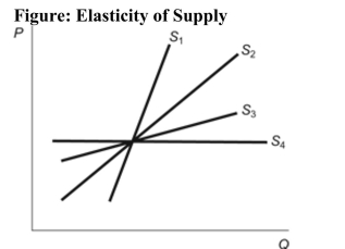   Reference: Ref 5-1 (Figure: Elasticity of Supply)  Refer to the figure. Which supply curve is the most elastic? A)  S1 B)  S2 C)  S3 D)  S4