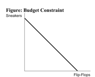   Reference: Ref 23-3 (Figure: Budget Constraint)  Refer to the figure. If the price of sneakers rises, then the budget constraint in the figure will: A)  not change. B)  become steeper. C)  become flatter. D)  shift to the left.