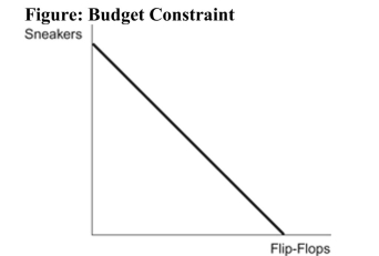   Reference: Ref 23-3 (Figure: Budget Constraint)  Refer to the figure. The slope of the budget constraint in the figure above is equal to: A)  the price of sneakers divided by the price of flip- flops. B)  the price of flip-flops divided by the price of gas. C)  the quantity of flip-flops divided by the quantity of sneakers. D)  the quantity of sneakers divided by the quantity of flip- flops.