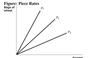   Reference: Ref 21-1 (Figure: Piece Rates)  Refer to the figure. A piece rate is offered for every 10 bags of wheat that workers fill. Which of the three piece rates plotted in the figure above has the highest dollar value? A)  P1 B)  P2 C)  P3 D)  All three piece rates are of equal value.