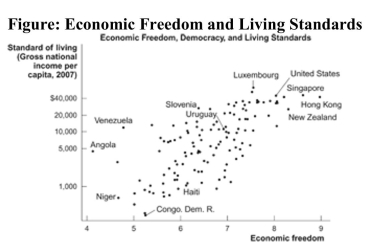   Reference: Ref 19-3 (Figure: Economic Freedom and Living Standards)  Refer to the figure. Based on this chart, we can conclude that: A)  greater economic freedom causes a higher standard of living. B)  there is a positive relationship between economic freedom and GNI per capita. C)  higher GNI per capita raises the level of democracy. D)  the wealthiest countries in the world are all democracies.