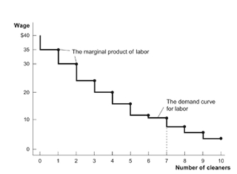 (Figure: Cleaners' Wages)  Refer to the figure. How many workers will this firm hire at a wage of $29? Figure: Cleaners' Wages   A)  0 B)  1 C)  2 D)  3