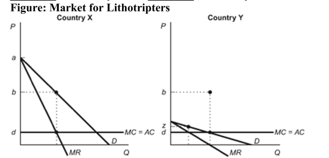 (Figure: Market for Lithotripters)  Refer to the figure. Suppose that a German manufacturer can sell its kidney lithotripter in two markets: Country X and Country Y. If this firm is interested in maximizing profits, it should set a price of ________ in Country X and ________ in Country Y.   A)  d; z B)  b; d C)  b; z D)  a; d