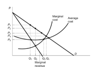 Figure: Maximize Monopoly Profits   Reference: Ref 13-4 (Figure: Maximize Monopoly Profits)  Refer to the figure. The monopolist will maximize its profit by charging a price equal to: A)  P1. B)  P2. C)  P3. D)  P4.