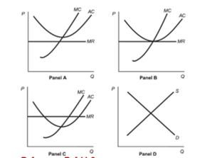 Figure: Profits and Competitive Firms Reference: Ref 11-8   (Figure: Profits and Competitive Firms)  Refer to the four panels in the figure. Which of the panels shows a competitive firm making positive economic profits? A)  Panel A B)  Panel B C)  Panel C D)  Panel D