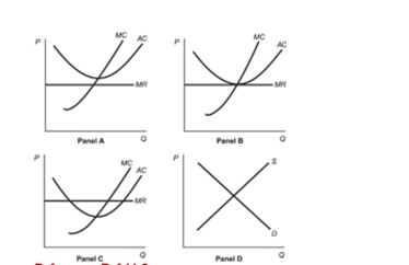 Figure: Profits and Competitive Firms Reference: Ref 11-8   (Figure: Profits and Competitive Firms)  Refer to the four panels in the figure. Which of the panels shows a competitive firm making an economic loss? A)  Panel A B)  Panel B C)  Panel C D)  Panel D