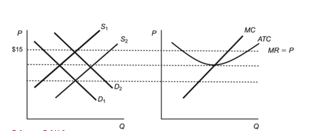 Figure: Industry Firms Reference: Ref 11-9   (Figure: Industry Firms)  Refer to the figures. The market is characterized by demand curve D2 and supply curve S1. The firms in the industry are earning ________, which will cause the: A)  profit; supply curve to shift to S2. B)  losses; demand curve to shift to D1. C)  profit; supply curve to shift to S2 and the demand curve to shift to D1. D)  losses; supply curve to shift to S2 and the demand curve to shift to D1.