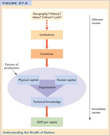 Figure: Understanding the Wealth of Nations   Explain the role  organization  plays in determining the wealth of nations,as shown in Figure 7.5 (27.5)in the text.