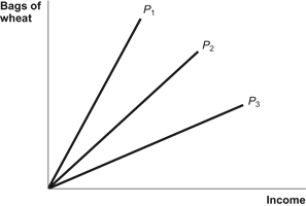 Use the following to answer questions: Figure: Piece Rates   -(Figure: Piece Rates)  Refer to the figure. A piece rate is offered for every 10 bags of wheat that workers fill. Which of the three piece rates plotted in the figure above has the highest dollar value to the firm? A)  P<sub>1</sub> B)  P<sub>2</sub> C)  P<sub>3</sub> D)  All three piece rates are of equal value.