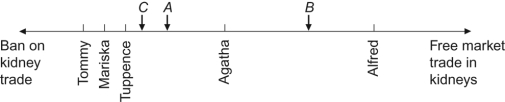Use the following to answer questions: Figure: Kidney Trade Ban Policy Spectrum   -(Figure: Kidney Trade Ban Policy Spectrum)  Refer to figure. If A, B, and C are all candidates in the election, and an open market for kidney trading is the only issue being debated, based on the median voter theorem, which candidate will win the election? A)  A B)  B C)  C D)  A, B, and C will each receive an equal number of votes.
