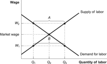 Figure: Labor Market   Refer to the figure. Which statement is correct? A)  A price floor set at W<sub>1</sub> would cause a labor surplus best labeled by A. B)  A price floor set at W<sub>1</sub> would cause a labor surplus best labeled by B. C)  A price floor set at W<sub>2</sub> would cause a labor surplus best labeled by A. D)  A price floor set at W<sub>2</sub> would cause a labor surplus best labeled by B.