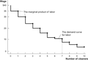 Figure: Cleaners' Wages   Refer to the figure. How many workers will this firm hire at a wage of $29? A)  0 B)  1 C)  2 D)  3