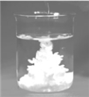 What are the spectator ions in the reaction between HCl and AgNO<sub>3</sub> in dilute aqueous solution? The reaction is shown below.   Given that AgCl is insoluble in water and that AgNO<sub>3</sub> is soluble, A) Ag<sup>+</sup>(aq)  + Cl<sup>-</sup>(aq)  B) Cl<sup>-</sup>(aq)  + NO<sub>3</sub><sup>-</sup>(aq)  C) NO<sub>3</sub><sup>-</sup>(aq)  + H<sup>+</sup>(aq)  D) Ag<sup>+</sup>(aq)  + H<sup>+</sup>(aq)  E) There are no spectator ions in this reaction