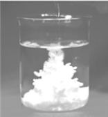 The following image shows the result of mixing an aqueous solution of silver nitrate with an aqueous solution of sodium chloride.   The products of the reaction are a solid and a solution.The physical states of the reaction in the equation should be specified using which set of state symbols,respectively? A) (l) , (l) , (s) , (l)  B) (aq) , (aq) , (s) , (aq)  C) (aq) , (aq) , (s) , (l)  D) (l) , (l) , (s) , (aq)  E) (aq) , (aq) , (p) , (aq) 