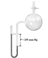 Consider the open-end manometer shown below.   When the pressure of the atmosphere is 754 mmHg,what is the pressure of the gas sample? A) 225 mm Hg B) 754 mm Hg C) 499 mm Hg D) 1009 mm Hg