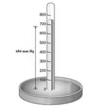 Consider the mercury barometer shown below.   What is the equivalent of pressure reading in torr? A) 684 torr B) 0.900 torr C) 6.75 torr D) 46.6 torr E) 1444 torr