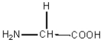 Consider the following amino acid structures:       glycine alanine serine Identify the C-terminal acid and the N-terminal acid in the following dipeptide:   C-terminal acid N-terminal acid A) glycine alanine B) glycine serine C) alanine serine D) alanine glycine E) serine glycine