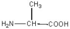 Consider the following amino acid structures:       glycine alanine serine Identify the C-terminal acid and the N-terminal acid in the following dipeptide:   C-terminal acid N-terminal acid A) glycine alanine B) glycine serine C) alanine serine D) alanine glycine E) serine glycine