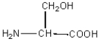 Consider the following amino acid structures:       glycine alanine serine Identify the C-terminal acid and the N-terminal acid in the following dipeptide:   C-terminal acid N-terminal acid A) glycine alanine B) glycine serine C) alanine serine D) alanine glycine E) serine glycine