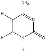 What molecular structure is shown below?   A) Thymine B) Adenine C) Cytosine D) Uracil E) Guanine