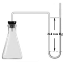 Consider the open-ended manometer shown below.In this apparatus the arm on the right is open to the atmosphere and feels the full effect of atmospheric pressure.The pressure in the chemistry lab at the time of this experiment is 755 mm Hg.The flask contains O<sub>2</sub>,N<sub>2</sub> and Ne.   Which of the following correctly applies to this apparatus? A)    B)    C)    D)    E) none of the above