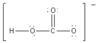 Which of the following is the best Lewis diagram for HCO<sub>3</sub><sup>-</sup>? A)    B)    C)    D)    E)   