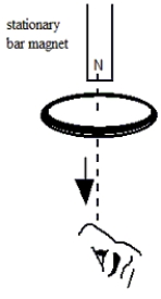 A metal ring is dropped from rest below a bar magnet that is fixed in position as suggested in the figure. An observer views the ring from below. Which one of the following statements concerning this situation is true?   A) As the ring falls, an induced current will flow counterclockwise as viewed by the observer. B) As the ring falls, an induced current will flow clockwise as viewed by the observer. C) As the ring falls, there will be an induced magnetic field around the ring that appears counterclockwise as viewed by the observer. D) As the ring falls, there will be an induced magnetic field around the ring that appears clockwise as viewed by the observer. E) Since the magnet is stationary, there will be no induced current in the ring.