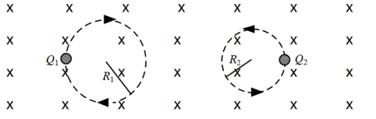 Two charged particles of equal mass are traveling in circular orbits in a region of uniform, constant magnetic field as shown. The particles are observed to move in circular paths of radii R<sub>1</sub> and R<sub>2</sub> with speeds v<sub>1</sub> and v<sub>2</sub>, respectively.   As the figure shows, the path of particle 2 has a smaller radius than that of particle 1. Which one of the following statements about this system is false? A) |v<sub>1</sub>/Q<sub>1</sub>| < |v<sub>2</sub>/Q<sub>2</sub>| B) Particle 2 carries a positive charge. C) Particle 1 carries a negative charge. D) Neither particle gains energy from the magnetic field. E) The particle velocities have no components parallel to the magnetic field.