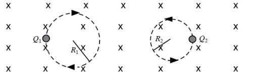 Two charged particles are traveling in circular orbits with the same speed in a region of uniform magnetic field that is directed into the page, as shown. The magnitude of the charge on each particle is identical, but the signs of the charges are unequal.   Which one of the entries in the table below is correct?   A)    B)    C)    D)    E)   