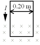 A loop of wire with a weight of 0.55 N is oriented vertically and carries a current I = 2.25 A. A segment of the wire passes through a magnetic field directed into the plane of the page as shown. The net force on the wire is measured using a balance and found to be zero. What is the magnitude of the magnetic field?   A) zero tesla B) 0.51 T C) 0.84 T D) 1.2 T E) 4.5 T