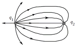 The figure shows the electric field lines in the vicinity of two point charges. Which one of the following statements concerning this situation is true?   A) q<sub>1</sub> is negative and q<sub>2</sub> is positive. B) The magnitude of the ratio (q<sub>2</sub>/ q<sub>1</sub>) is less than one. C) Both q<sub>1</sub>and q<sub>2</sub> have the same sign of charge. D) The magnitude of the electric field is the same everywhere. E) The electric field is strongest midway between the charges.