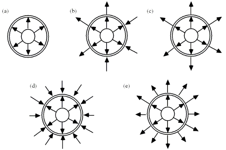 A solid, conducting sphere of radius a carries an excess charge of +6 µC. This sphere is located at the center of a hollow, conducting sphere with an inner radius of b and an outer radius of c as shown. The hollow sphere also carries a total excess charge of +6 µC.   -Which one of the following figures shows a qualitatively accurate sketch of the electric field lines in and around this system?   A) a B) b C) c D) d E) e