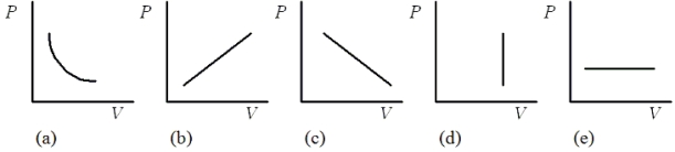Which one of the following pressure-volume graphs represents an isochoric process?   A) (a)  B) (b)  C) (c)  D) (d)  E) (e) 