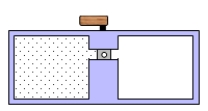 A container is divided into two chambers that are separated by a valve. The left chamber contains one mole of a monatomic ideal gas. The right chamber is evacuated. At some instant, the valve is opened and the gas rushes freely into the right chamber. Which one of the following statements concerning this process is true?   A) Work is done by the gas. B) The temperature of the gas decreases. C) The change in the entropy of the gas is zero. D) The walls of the containing vessel must get colder. E) The change in the internal energy of the gas is zero.