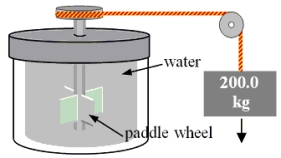 A 200.0-kg object is attached via an ideal pulley system to paddle wheels that are submerged in 0.480 kg of glycerin at 20.0 °C in an insulated container as shown. Then, the object falls through a distance of 5.00 m causing the paddle wheel to turn. Assuming all of the mechanical energy lost by the falling object goes into the water, determine the final temperature of the glycerin. The specific heat capacity of glycerin is 2410 J/   C<sup>o</sup>) .   A) 4.90<sup> </sup>°C B) 28.5<sup> </sup>°C C) 24.9 °C D) 40.4<sup> </sup>°C E) 8.47<sup> </sup>°C