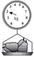 In the produce section of a supermarket, five pears are placed on a spring scale. The placement of the pears stretches the spring and causes the dial to move from zero to a reading of 2.0 kg. If the spring constant is 450 N/m, what is the displacement of the spring due to the weight of the pears?   A) 0.0044 m B) 0.0088 m C) 0.018 m D) 0.044 m E) 0.088 m