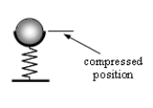 A ping-pong ball weighs 0.025 N. The ball is placed inside a cup that sits on top of a vertical spring. If the spring is compressed 0.055 m and released, the maximum height above the compressed position that the ball reaches is 2.84 m. Neglect air resistance and determine the spring constant.   A) 47 N/m B) 24 N/m C) 11 N/m D) 5.2 N/m E) 2.6 N/m