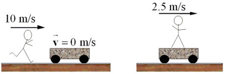 A 50.0-kg boy runs at a speed of 10.0 m/s and jumps onto a cart as shown in the figure. The cart is initially at rest. If the speed of the cart with the boy on it is 2.50 m/s, what is the mass of the cart?   A) 150 kg B) 175 kg C) 210 kg D) 260 kg E) 300 kg