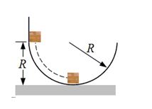 A block of mass m is released from rest at a height R above a horizontal surface. The acceleration due to gravity is g. The block slides along the inside of a frictionless circular hoop of radius R.   -What is the magnitude of the normal force exerted on the block by the hoop when the block reaches the bottom of the hoop? A) zero newtons B) mg<sup>2</sup>/R C) mg D) 2mg E) 3mg